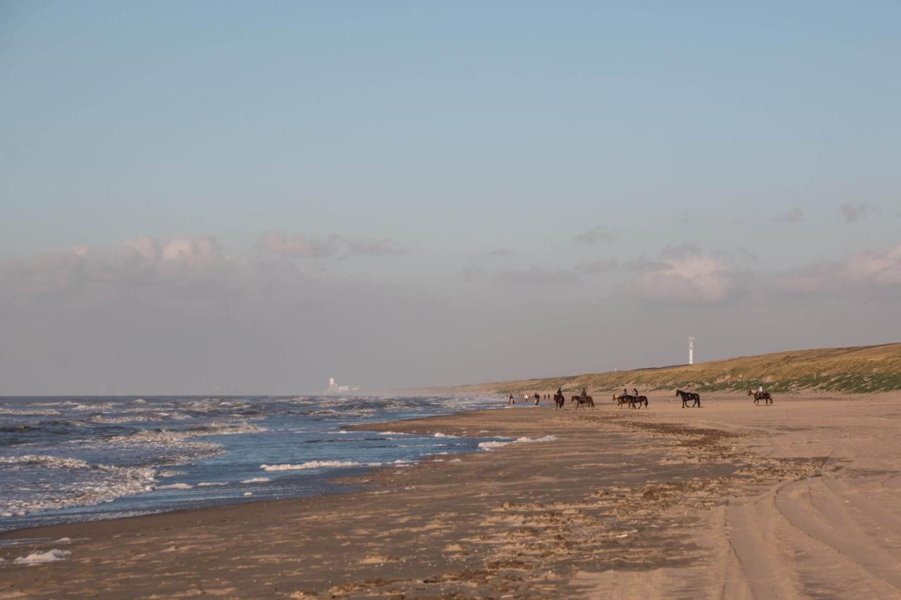 The Flying Pig Beach Hostel Нордвик Екстериор снимка