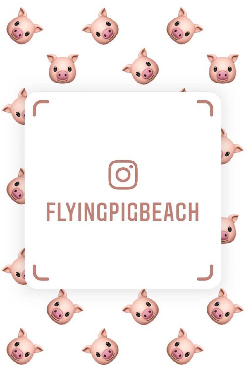 The Flying Pig Beach Hostel Нордвик Екстериор снимка